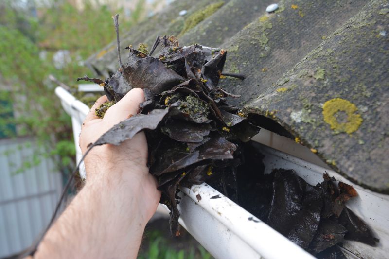 Gutter Cleaning in Frederick, MD