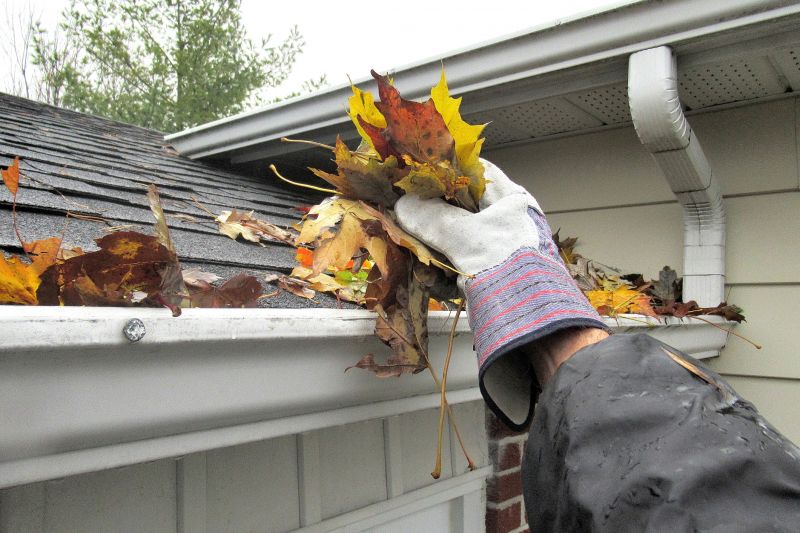 Gutter Downspout Unclogging in Frederick, MD