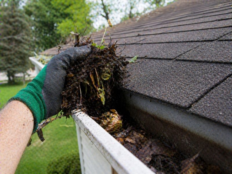 Gutter Leaves Removal in Frederick, MD