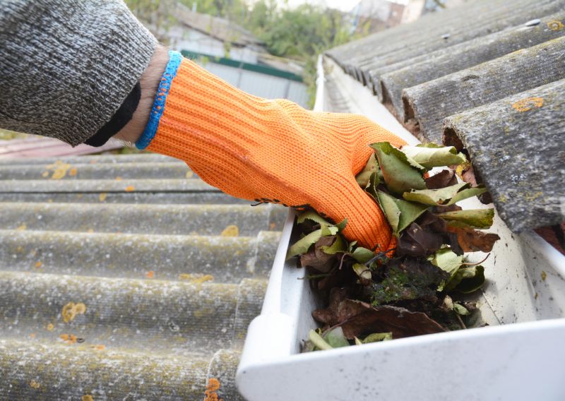Gutter Leaves Removal in Longmont, CO