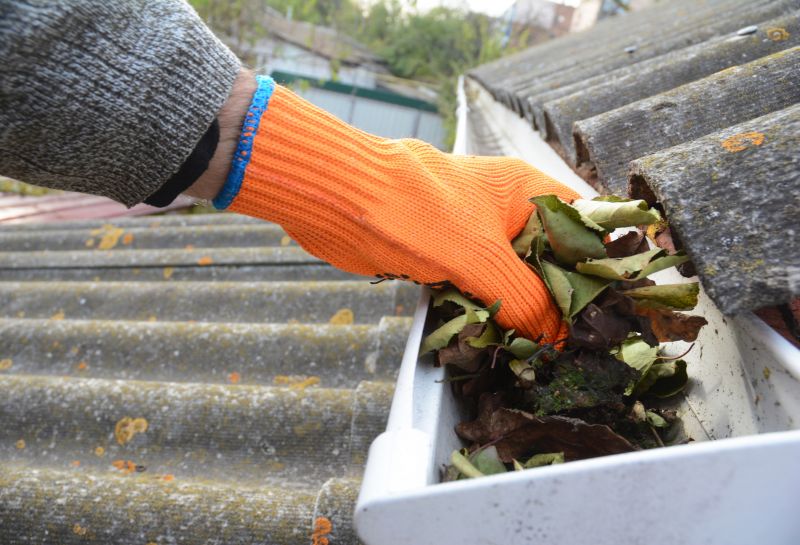 Gutter Pine Needle Removal in Arvada, CO