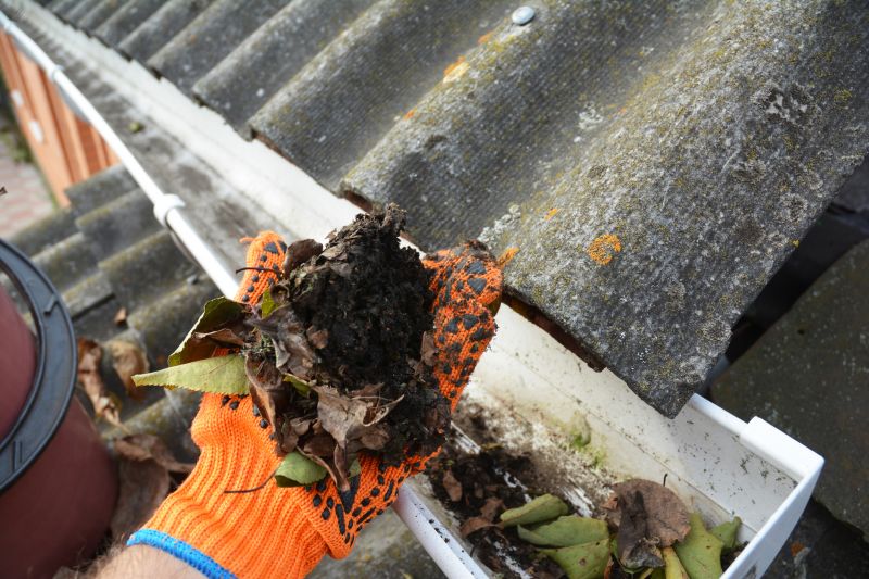 Rain Gutter Clearing in Frederick, MD