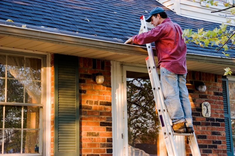 Roof Gutter Cleaning in Long Island, NY