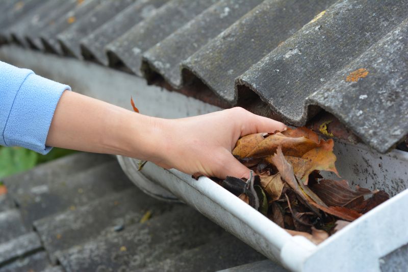 Roof Gutter Cleaning in Morris County, NJ
