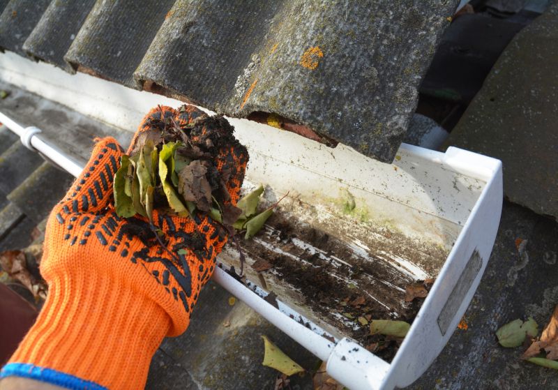 Roof Gutter Cleaning in Rochester, NY